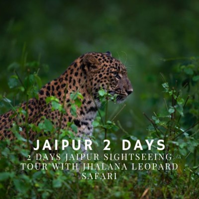 2 Days Jaipur sightseeing tour with Jhalana Leopard Safari